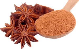 The Herbal Fix star anise 2